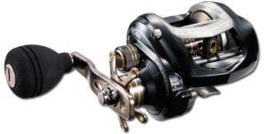 TAILWALK ELAN WIDE POWER 71B