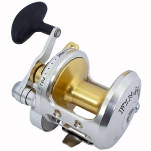 Marquesa MA50 II