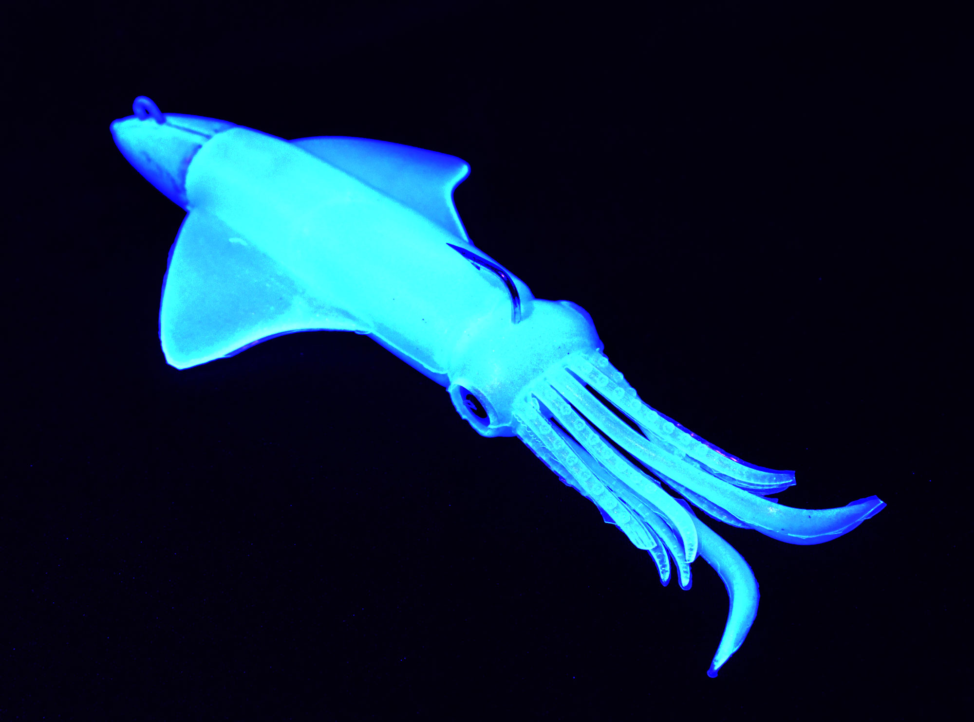 GT BIO Kalamy Squid 175mm 90gr - Image 19