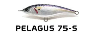 Jack Fin Pelagus 75s