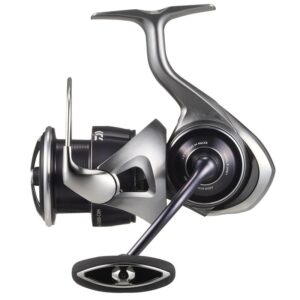 Daiwa Caldia 25